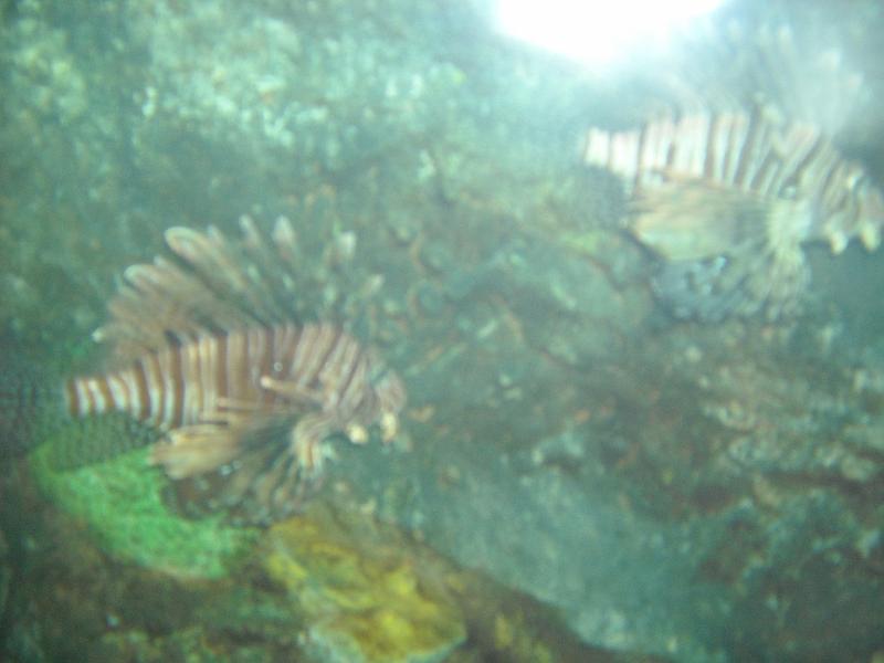 Maleisie (143).jpg